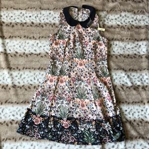 NWT LC Lauren Conrad Dress